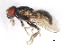  ( - 09BBEDI-0751)  @12 [ ] CreativeCommons - Attribution (2010) Unspecified Centre for Biodiversity Genomics