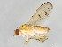  ( - 09BBEDI-0758)  @13 [ ] CreativeCommons - Attribution (2010) Unspecified Centre for Biodiversity Genomics