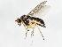  ( - 09BBEDI-0794)  @14 [ ] CreativeCommons - Attribution (2010) Unspecified Centre for Biodiversity Genomics
