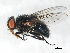  ( - 09BBEDI-0802)  @14 [ ] CreativeCommons - Attribution (2010) Unspecified Centre for Biodiversity Genomics