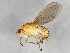  ( - 09BBEDI-0807)  @13 [ ] CreativeCommons - Attribution (2010) Unspecified Centre for Biodiversity Genomics