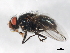  ( - 09BBEDI-0850)  @13 [ ] CreativeCommons - Attribution (2010) Unspecified Centre for Biodiversity Genomics