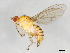 ( - 09BBEDI-0858)  @14 [ ] CreativeCommons - Attribution (2010) Unspecified Centre for Biodiversity Genomics