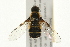  ( - 09BBEDI-0023)  @14 [ ] CreativeCommons - Attribution (2009) Unspecified Centre for Biodiversity Genomics