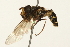  ( - 09BBEDI-0043)  @13 [ ] CreativeCommons - Attribution (2009) Unspecified Centre for Biodiversity Genomics