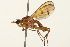  ( - 09BBEDI-0054)  @14 [ ] CreativeCommons - Attribution (2009) Unspecified Centre for Biodiversity Genomics