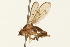  ( - 09BBEDI-0055)  @13 [ ] CreativeCommons - Attribution (2009) Unspecified Centre for Biodiversity Genomics