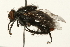  ( - 09BBEDI-0073)  @13 [ ] CreativeCommons - Attribution (2009) Unspecified Centre for Biodiversity Genomics