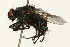  ( - 09BBEDI-0074)  @12 [ ] CreativeCommons - Attribution (2009) Unspecified Centre for Biodiversity Genomics