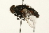  ( - 09BBEDI-0079)  @13 [ ] CreativeCommons - Attribution (2009) Unspecified Centre for Biodiversity Genomics