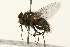  ( - 09BBEDI-0087)  @14 [ ] CreativeCommons - Attribution (2009) Unspecified Centre for Biodiversity Genomics