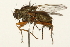  ( - 09BBEDI-0090)  @13 [ ] CreativeCommons - Attribution (2009) Unspecified Centre for Biodiversity Genomics