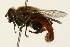  ( - 09BBEDI-0100)  @13 [ ] CreativeCommons - Attribution (2009) Unspecified Centre for Biodiversity Genomics