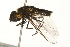  ( - 09BBEDI-0218)  @13 [ ] CreativeCommons - Attribution (2009) Unspecified Centre for Biodiversity Genomics