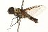  ( - 09BBEDI-0221)  @13 [ ] CreativeCommons - Attribution (2009) Unspecified Centre for Biodiversity Genomics