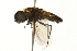  ( - 09BBEDI-0224)  @13 [ ] CreativeCommons - Attribution (2009) Unspecified Centre for Biodiversity Genomics