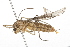  ( - 09BBEDI-0310)  @13 [ ] CreativeCommons - Attribution (2010) Unspecified Centre for Biodiversity Genomics