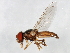  ( - 09BBEDI-1011)  @14 [ ] CreativeCommons - Attribution (2010) Unspecified Centre for Biodiversity Genomics