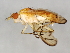  ( - 09BBEDI-1036)  @13 [ ] CreativeCommons - Attribution (2010) Unspecified Centre for Biodiversity Genomics
