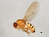  ( - 09BBEDI-1042)  @14 [ ] CreativeCommons - Attribution (2010) Unspecified Centre for Biodiversity Genomics
