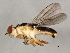  ( - 09BBEDI-1047)  @13 [ ] CreativeCommons - Attribution (2010) Unspecified Centre for Biodiversity Genomics