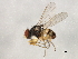  ( - 09BBEDI-1048)  @13 [ ] CreativeCommons - Attribution (2010) Unspecified Centre for Biodiversity Genomics