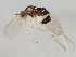  ( - 09BBEDI-1057)  @13 [ ] CreativeCommons - Attribution (2010) Unspecified Centre for Biodiversity Genomics