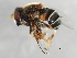  ( - 09BBEDI-1093)  @12 [ ] CreativeCommons - Attribution (2010) Unspecified Centre for Biodiversity Genomics