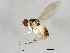  ( - 09BBEDI-1149)  @12 [ ] CreativeCommons - Attribution (2010) Unspecified Centre for Biodiversity Genomics