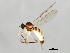  ( - 09BBEDI-1157)  @13 [ ] CreativeCommons - Attribution (2010) Unspecified Centre for Biodiversity Genomics