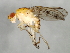  ( - 09BBEDI-1159)  @13 [ ] CreativeCommons - Attribution (2010) Unspecified Centre for Biodiversity Genomics