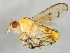  ( - 09BBEDI-1165)  @14 [ ] CreativeCommons - Attribution (2010) Unspecified Centre for Biodiversity Genomics