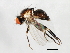  ( - 09BBEDI-1166)  @13 [ ] CreativeCommons - Attribution (2010) Unspecified Centre for Biodiversity Genomics