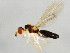  ( - 09BBEDI-1172)  @13 [ ] CreativeCommons - Attribution (2010) Unspecified Centre for Biodiversity Genomics