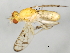  ( - 09BBEDI-1182)  @13 [ ] CreativeCommons - Attribution (2010) Unspecified Centre for Biodiversity Genomics