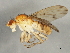  ( - 09BBEDI-1199)  @13 [ ] CreativeCommons - Attribution (2010) Unspecified Centre for Biodiversity Genomics