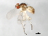  ( - 09BBEDI-1239)  @12 [ ] CreativeCommons - Attribution (2010) Unspecified Centre for Biodiversity Genomics