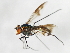  ( - 09BBEDI-1280)  @12 [ ] CreativeCommons - Attribution (2010) Unspecified Centre for Biodiversity Genomics