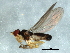  ( - 09BBEDI-1310)  @12 [ ] CreativeCommons - Attribution (2010) Unspecified Centre for Biodiversity Genomics