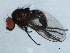  ( - 09BBEDI-1316)  @12 [ ] CreativeCommons - Attribution (2010) Unspecified Centre for Biodiversity Genomics