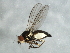  ( - 09BBEDI-1375)  @11 [ ] Unspecified (default): All Rights Reserved  Unspecified Unspecified