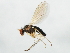  ( - 09BBEDI-1409)  @13 [ ] CreativeCommons - Attribution (2010) Unspecified Centre for Biodiversity Genomics