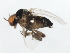 ( - 09BBEDI-1450)  @12 [ ] CreativeCommons - Attribution (2010) Unspecified Centre for Biodiversity Genomics