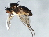  ( - 09BBEDI-1461)  @12 [ ] CreativeCommons - Attribution (2010) Unspecified Centre for Biodiversity Genomics