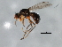  ( - 09BBEDI-1488)  @13 [ ] CreativeCommons - Attribution (2010) Unspecified Centre for Biodiversity Genomics