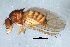  ( - 09BBEDI-1752)  @13 [ ] CreativeCommons - Attribution (2010) Unspecified Centre for Biodiversity Genomics