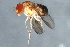  ( - 09BBEDI-1870)  @13 [ ] CreativeCommons - Attribution (2010) Unspecified Centre for Biodiversity Genomics