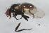  ( - 09BBEDI-1873)  @13 [ ] CreativeCommons - Attribution (2010) Unspecified Centre for Biodiversity Genomics