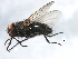  ( - 09BBEDI-1880)  @14 [ ] CreativeCommons - Attribution (2010) Unspecified Centre for Biodiversity Genomics