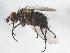  ( - 09BBEDI-1882)  @13 [ ] CreativeCommons - Attribution (2010) Unspecified Centre for Biodiversity Genomics